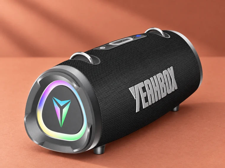YEAHBOX 100W — 6